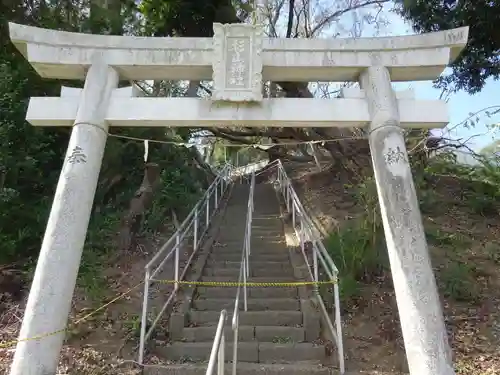 杉山神社の鳥居