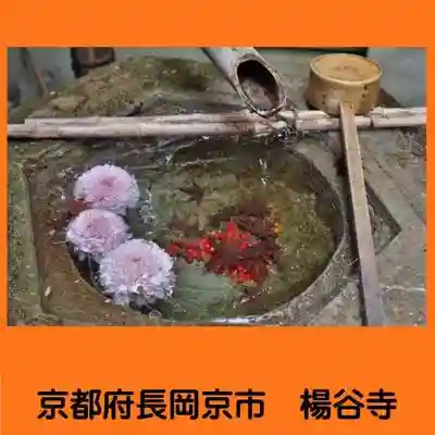 柳谷観音 楊谷寺の手水舎