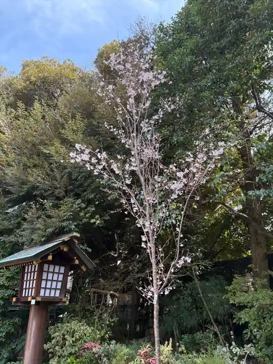 東京大神宮(東京都)
