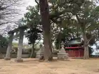 八坂神社(千葉県)