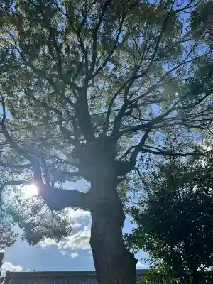 崇道天皇社(奈良県)