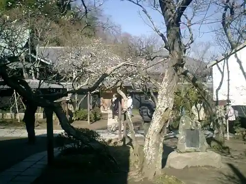 東慶寺の庭園