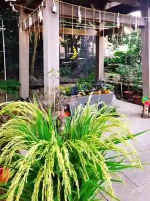 東海市熊野神社の手水舎