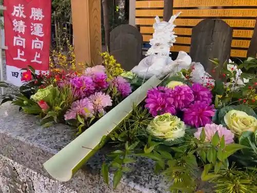 田無神社の手水