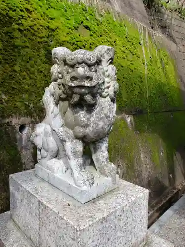 金刀比羅神社の狛犬