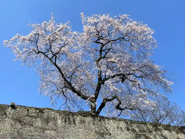 妙義神社の自然