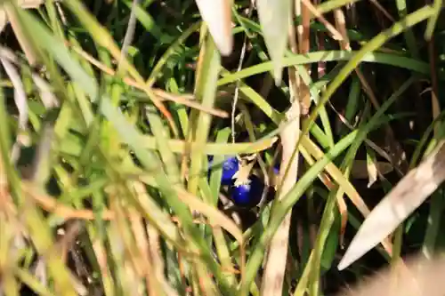 大六天麻王神社の景色