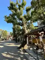 率川神社（大神神社摂社）(奈良県)