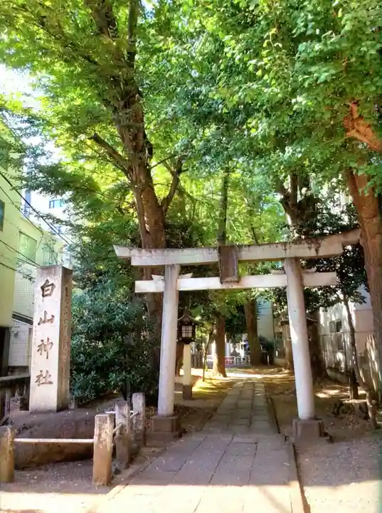荻窪白山神社(東京都)