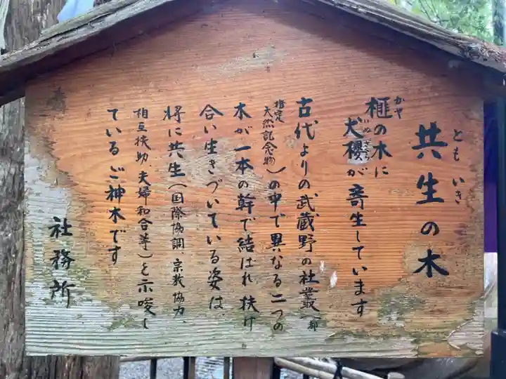 大宮八幡宮の歴史