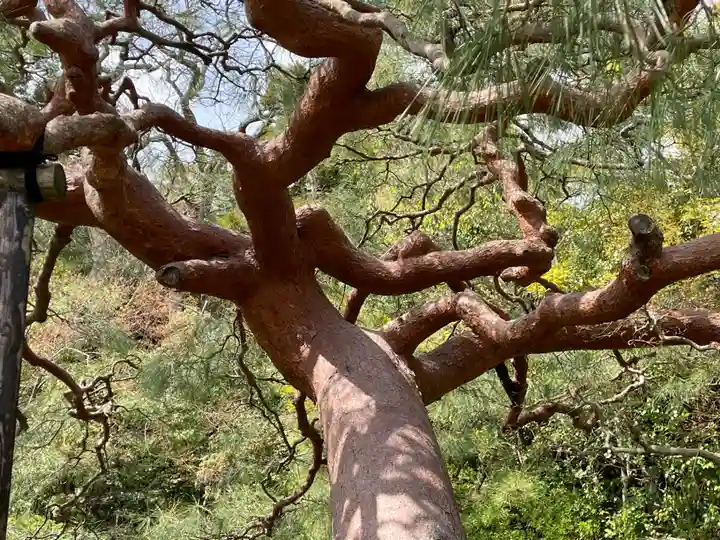 城南宮(京都府)
