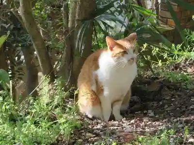 熊野若王子神社(京都府)