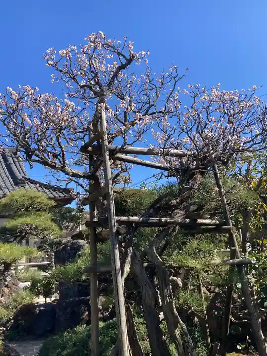 東漸寺(神奈川県)
