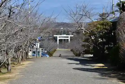 安房神社のその他建物