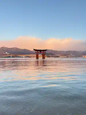 厳島神社の鳥居