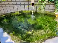 正覚院の手水舎