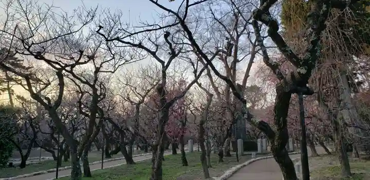 北野天満宮の自然