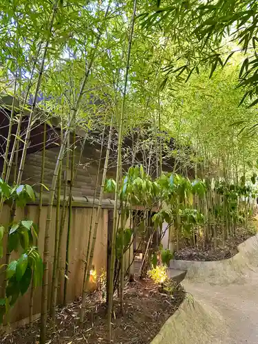 來宮神社(静岡県)