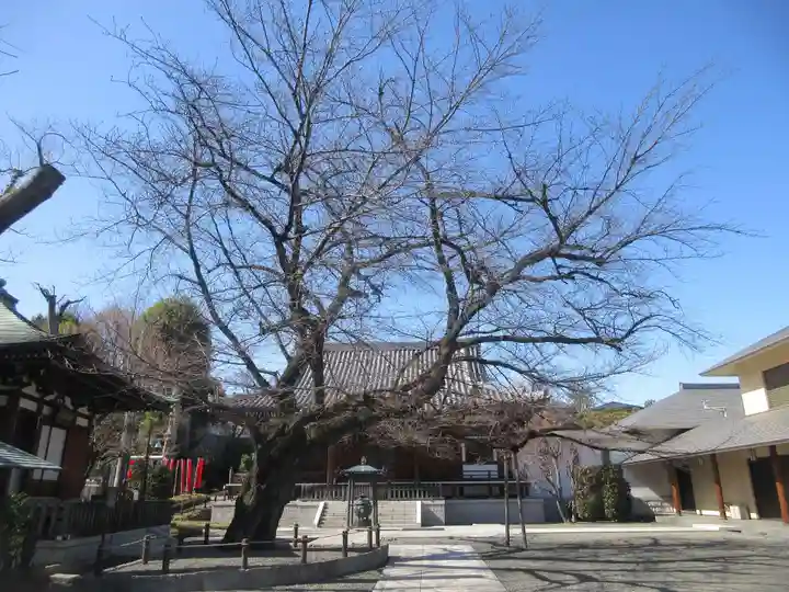 智清寺(東京都)