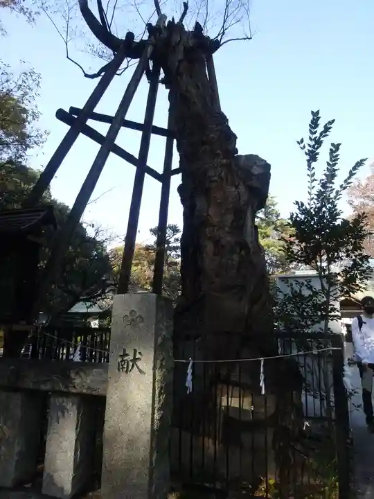 布多天神社のその他建物