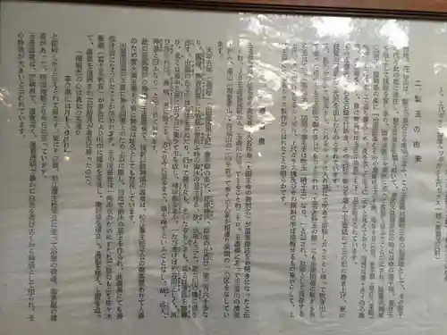 玉作湯神社の歴史