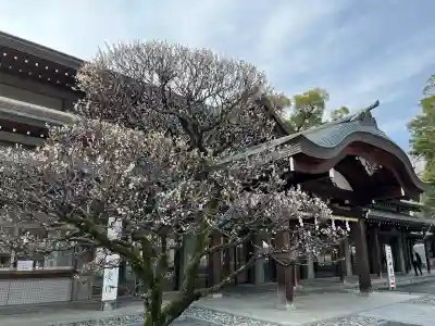 三嶋大社(静岡県)