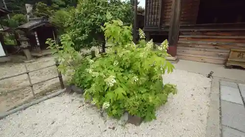 妙楽寺(愛知県)