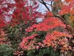 西明寺(滋賀県)