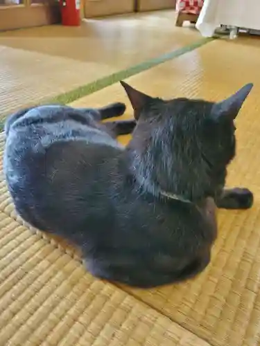 高司神社〜むすびの神の鎮まる社〜(福島県)