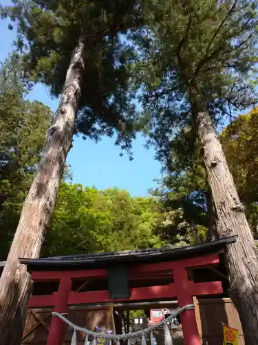 小幡八幡宮のその他建物