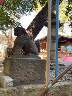 上目黒氷川神社の狛犬
