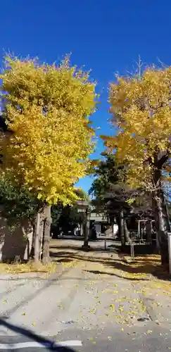 下総府中六所神社の鳥居