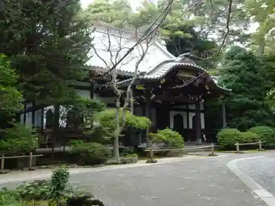 妙本寺の本殿・本堂