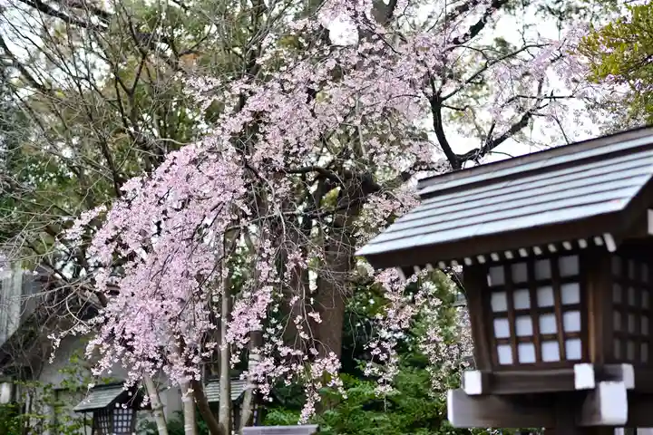 伊勢山皇大神宮の自然