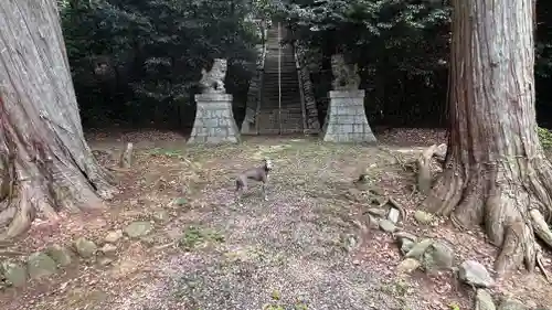 彌牟居神社(三重県)