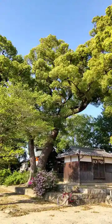 常磐神社(京都府)