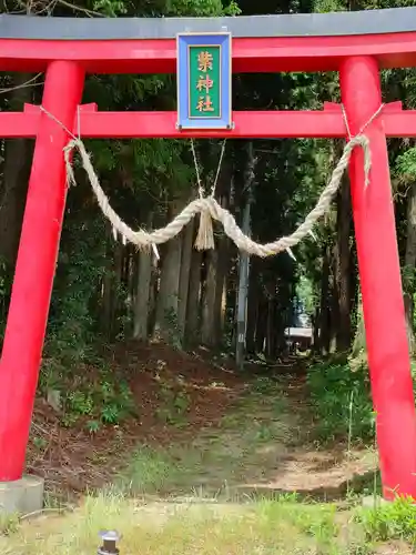 紫神社の鳥居