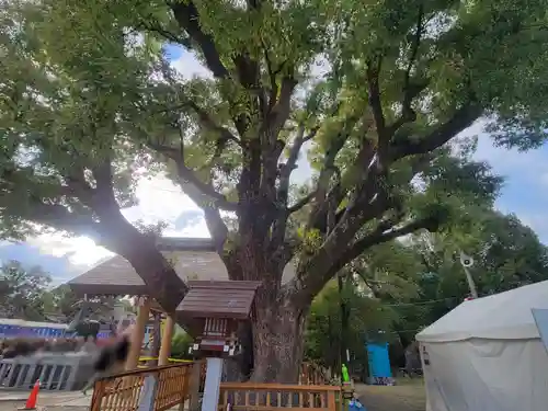 和泉國一之宮　大鳥大社(大阪府)