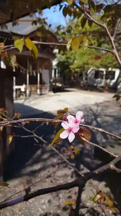 相馬神社(北海道)