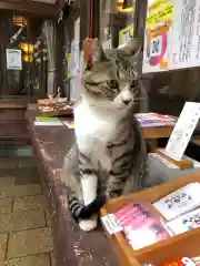 王子神社(徳島県)