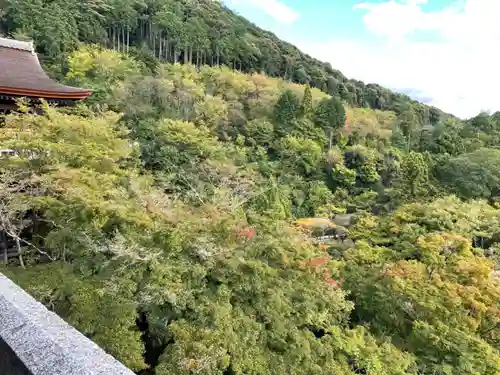 清水寺(京都府)