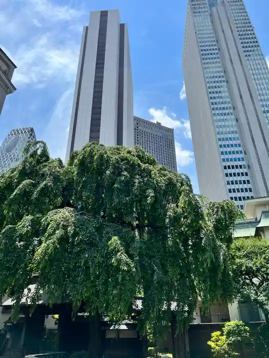 常圓寺(東京都)