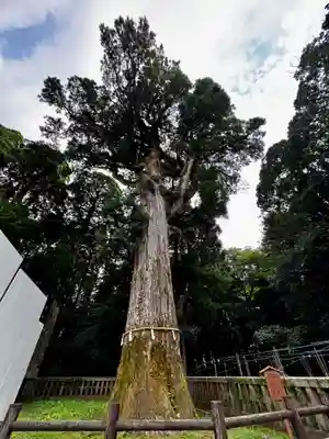 霧島神宮(鹿児島県)