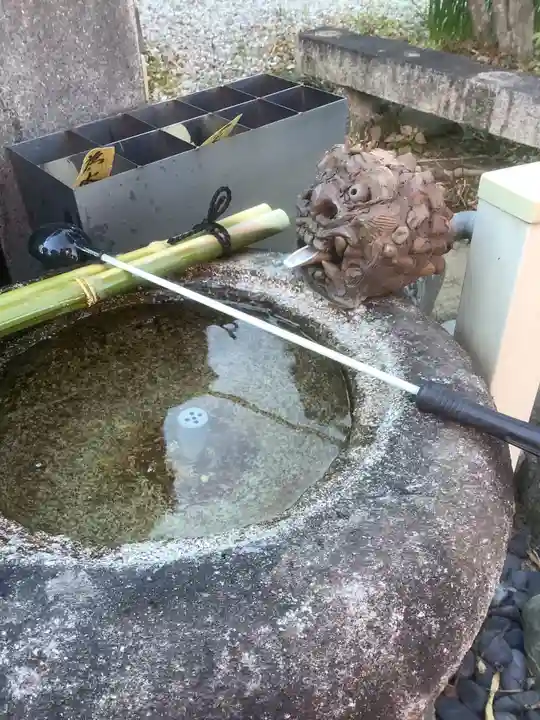 成蓮院の手水舎