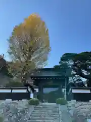 紫雲寺の山門