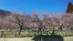 菅原神社の自然