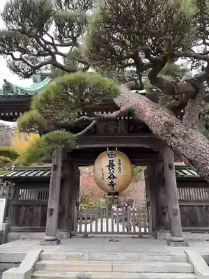 長谷寺の山門・神門