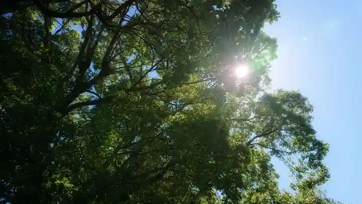 十二所社の自然