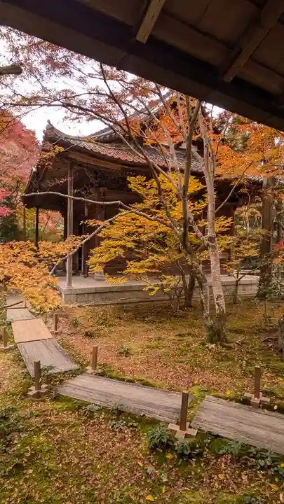 蓮華寺(洛北蓮華寺)(京都府)