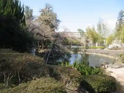 妙典寺(埼玉県)